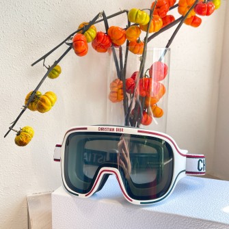 Dior 디올 스키선글라스 #2511061431