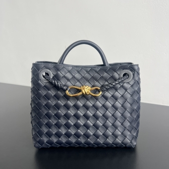 BOTTEGA VENETA 보테가베네타 안디아모백 스몰 (24칼러) 743568