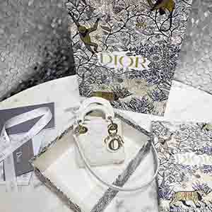DIOR 디올