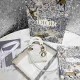 DIOR 디올