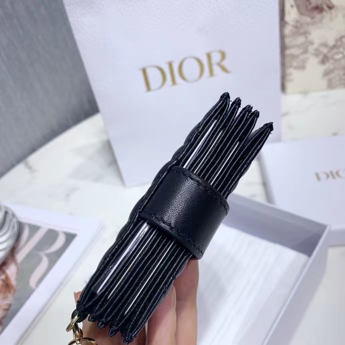 DIOR 디올