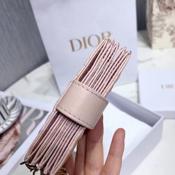 DIOR 디올